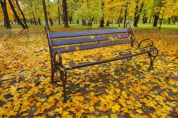 Осенний парк с лавочкой
