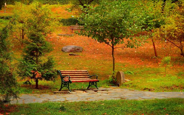 Аллея в парке в Туле, лавочка