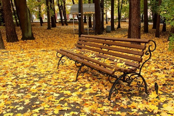 Скамейка в парке