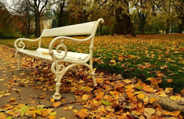 Осенний Елагин парк скамейки
