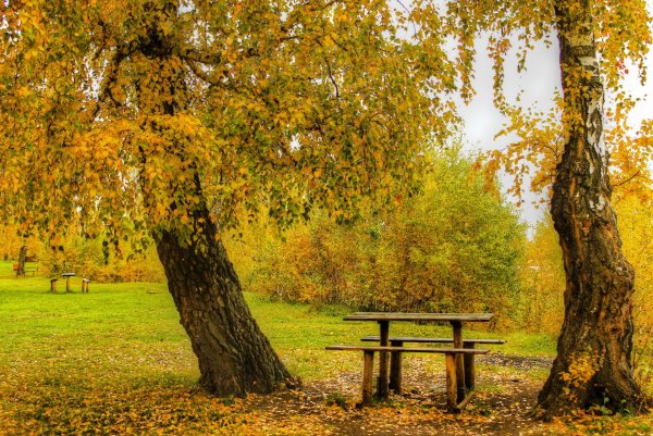 Осень в парке