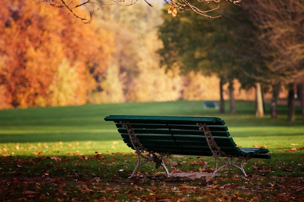 Скамья Bench 900