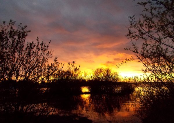 Майский закат