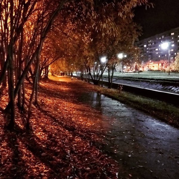 Осень вечер