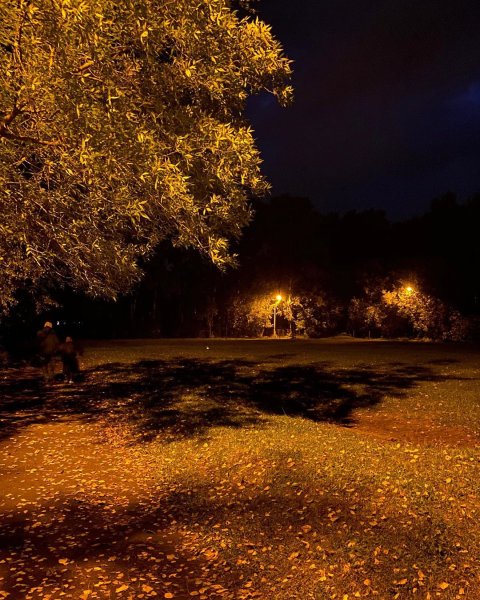 Вечерний парк