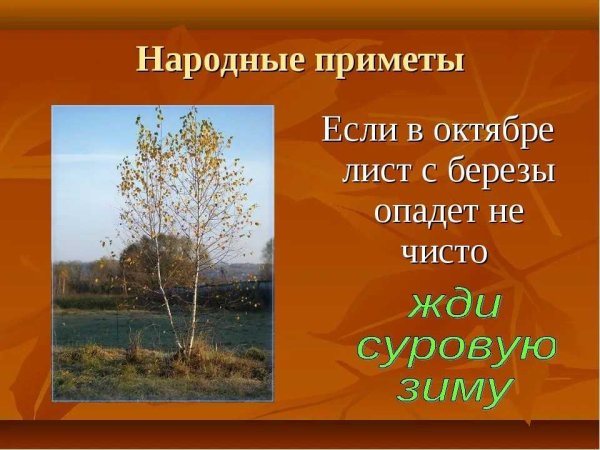 Народные приметы приметы
