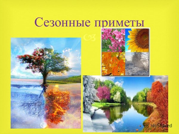 Сезонные приметы