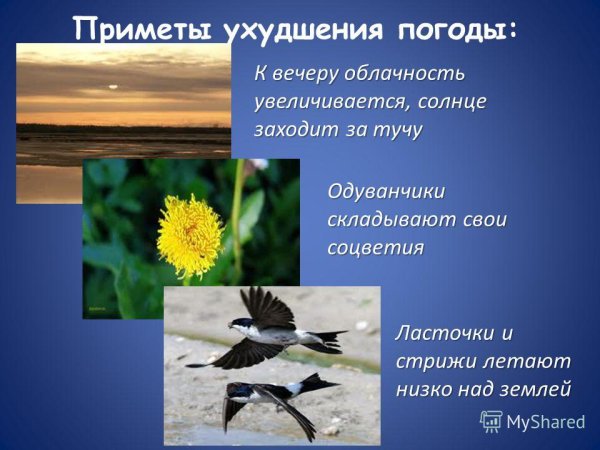 Презентация на тему народные приметы