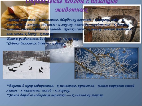 Народных примет о погоде