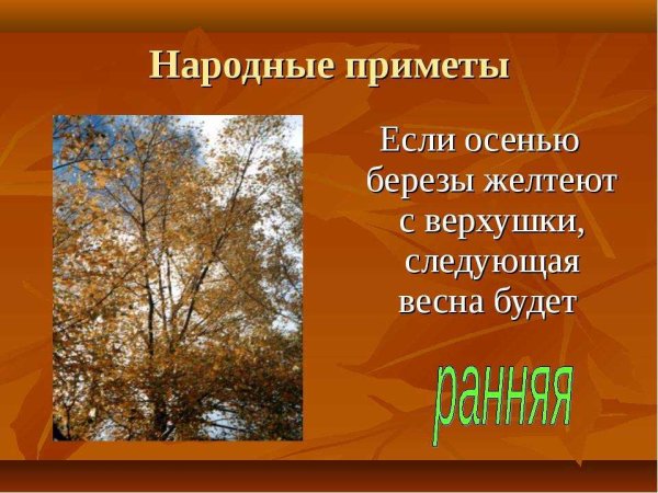 Народные приметы