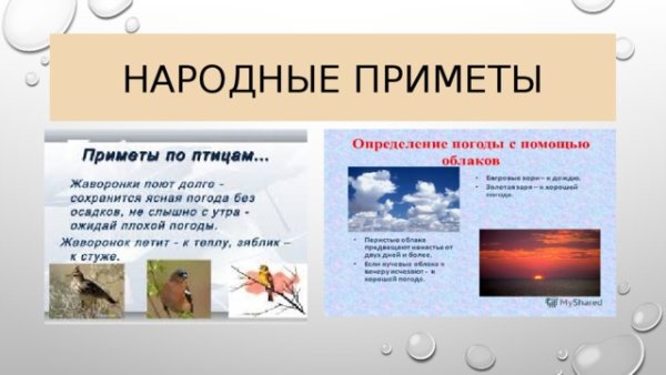 3 Народные приметы о погоде