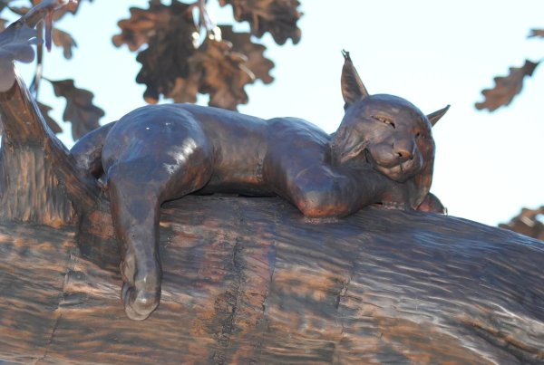 Парк Бажова Златоуст