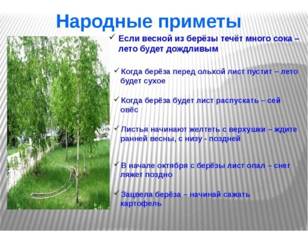 Народные приметы