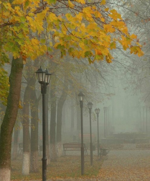 Осенний дождливый парк