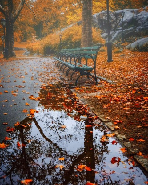 Осенний парк