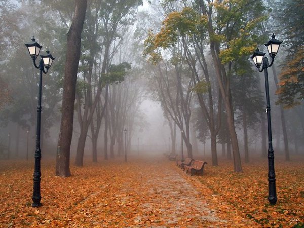 Пасмурная осень в парке