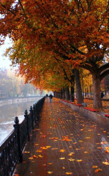 Набережная осенью