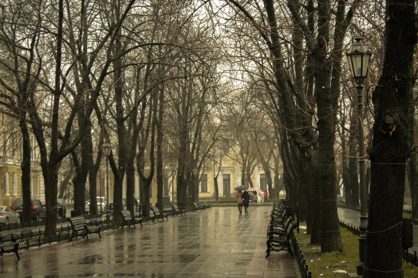 Пасмурная осень в городе