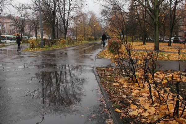 Поздняя дождливая осень