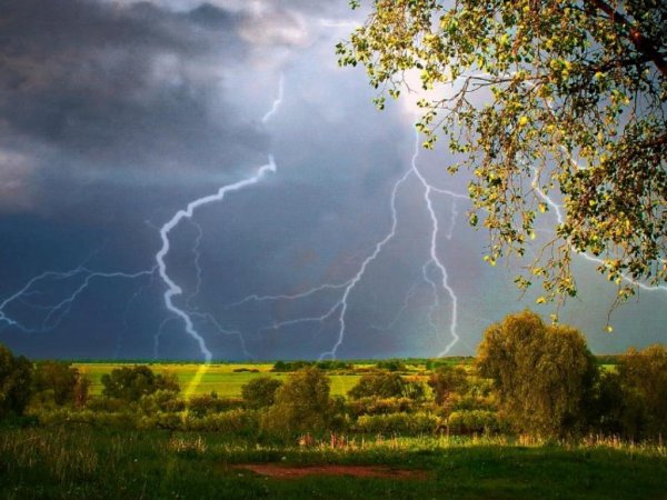 Раскаты Громовые Тютчев