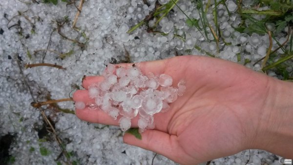 Весенний град