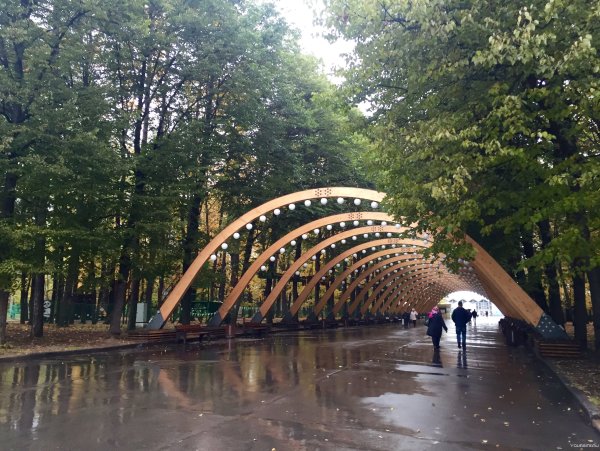 Лесопарк Сокольники