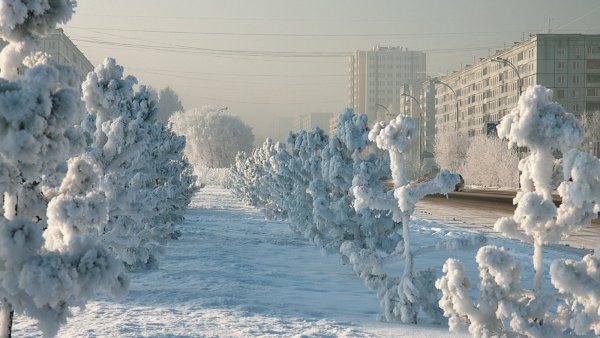 Очень холодная зима