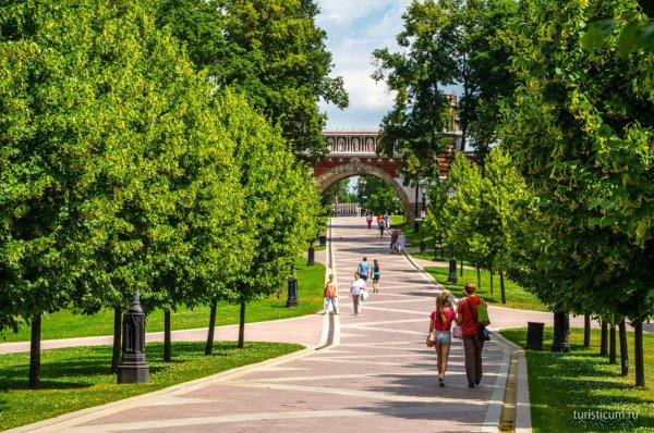 Парк Царицыно в Москве лесопарк