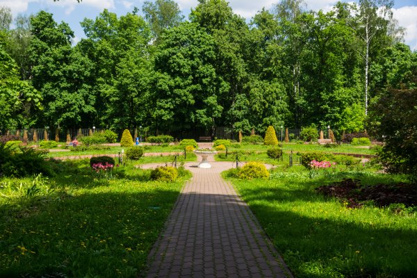 Сокольнический парк Москва