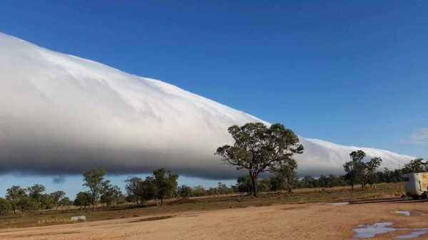 Глория Австралия