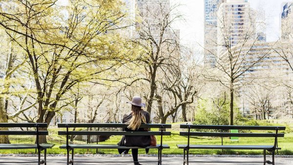 Нью Йорк вентрал паркскамейки