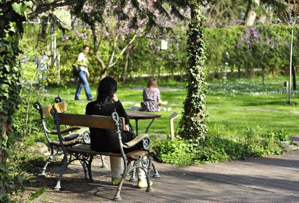 Скамейка в парке