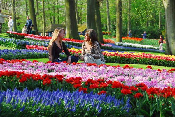 Парк «Кекенхоф» (Keukenhof) летом
