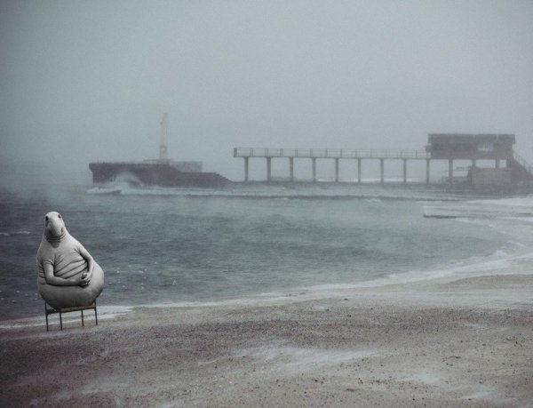 Ждун на море