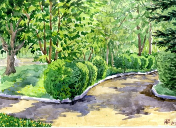 Рисунок парка