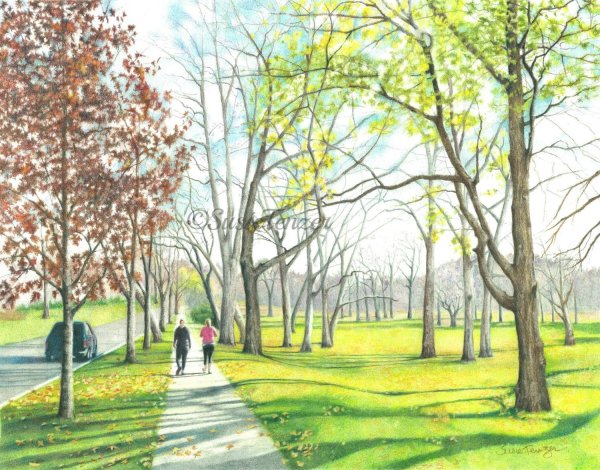 Городской пейзаж с деревьями