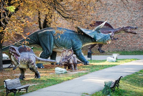 Динопарк Грозный