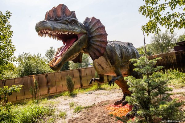 Парк сказка в Крылатском Динопарк