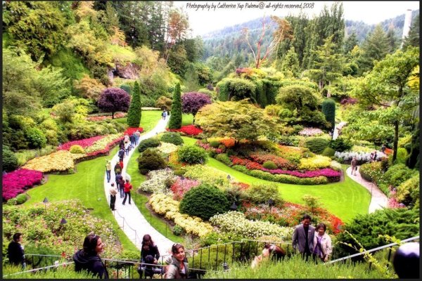 "Сады Бутчартов (the Butchart Gardens) Ванкувер, Канада