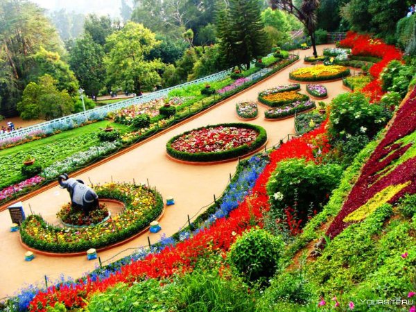 Government Rose Garden, Индия