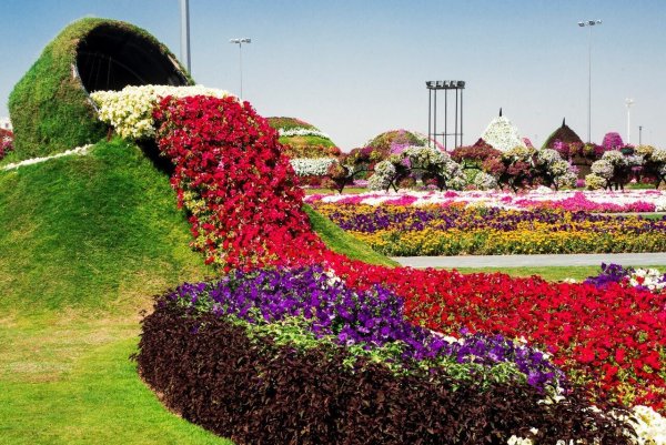Дубай Миракл Гарден Dubai Miracle Garden