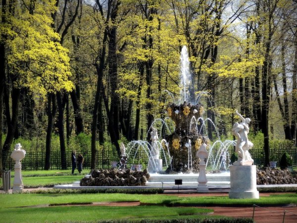 Летний сад Питер