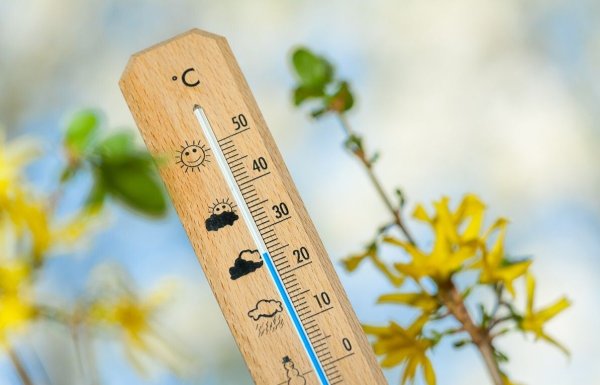 Термометр лето