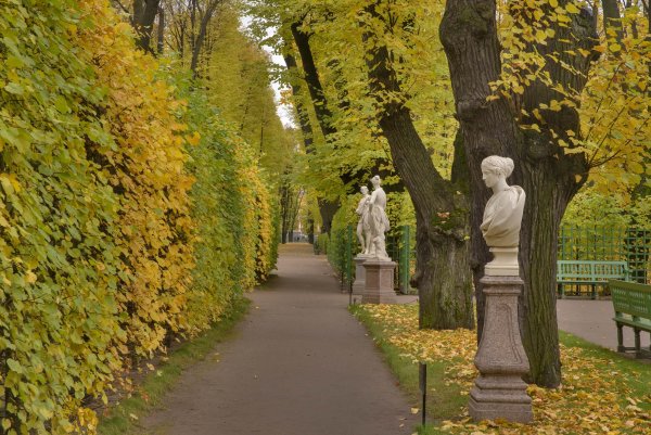 Летний сад 1704 Санкт-Петербург