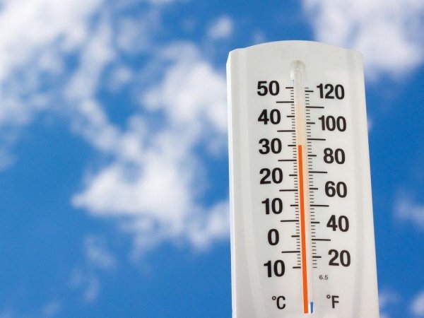 Внимание жара