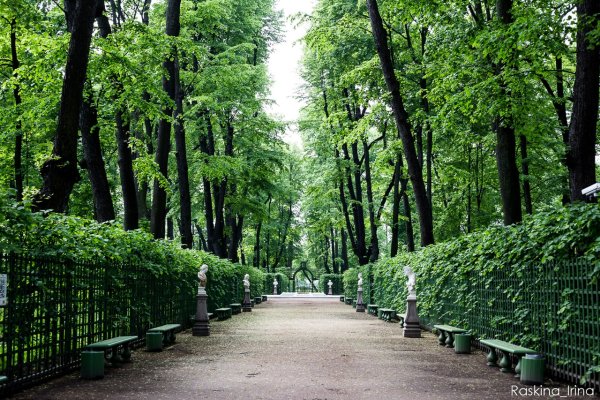 Аллеи летнего сада в Санкт-Петербурге