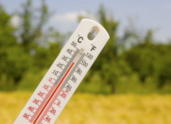 Термометр жара