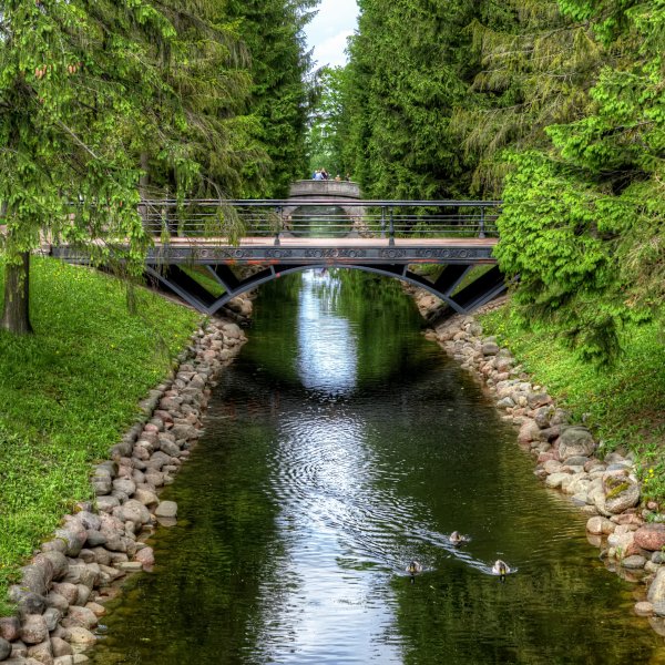 Лесопарк в Санкт-Петербурге с рекой