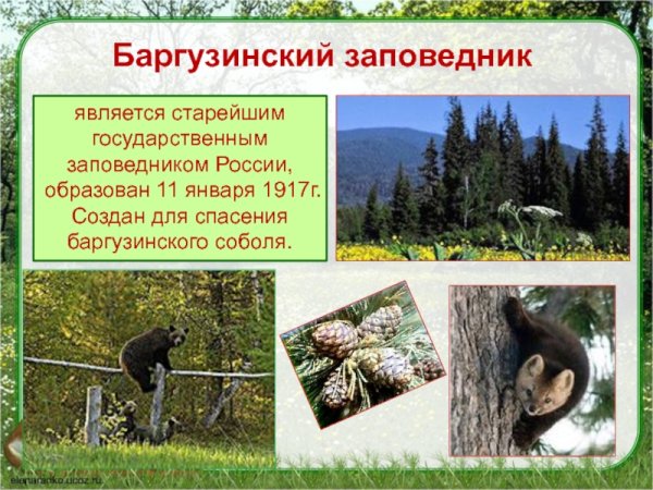 Первый заповедник в России