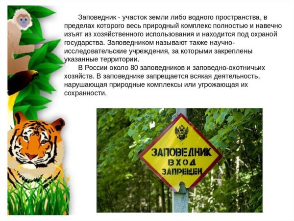 11 Января день заповедников и национальных парков
